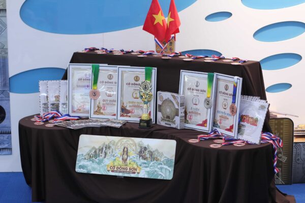 Hình ảnh cận cảnh hai chiếc cúp vàng lấp lánh (Cúp Hùng Vương 2026 cho Giải Nhất của 2 bảng đấu) cùng huy chương và đồng hồ thi đấu được trưng bày trang trọng tại Giải đấu Cờ Đông Sơn lần 2.