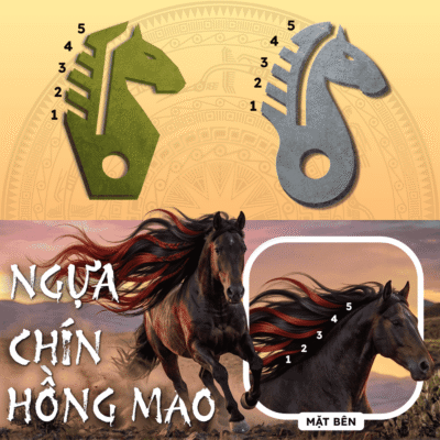 Hình ảnh minh họa Ngựa chín hồng mao dưới góc nhìn mặt bên (Profile View) giải thích chi tiết lý do quân Ngựa thuộc nhóm Sính lễ Cờ Đông Sơn chỉ hiển thị 5 dải bờm.
