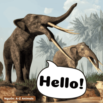 Bức ảnh mô phỏng loài voi Gomphothere cổ đại có bốn ngà dài, được coi là nguồn cảm hứng sinh học khả thi cho truyền thuyết Voi Chín Ngà của Việt Nam.